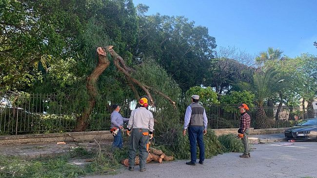 Video: Castelvetrano sono partiti i lavori  per il recupero della villa comunale