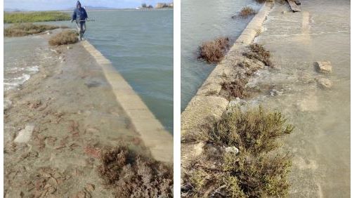 Riserva Naturale Orientata Saline di Trapani e Paceco: un equilibrio fragile messo a dura prova