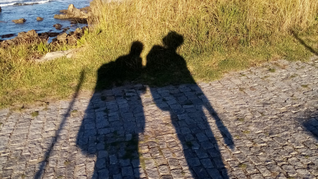 Ultime della sera. Il cammino genera cammino…