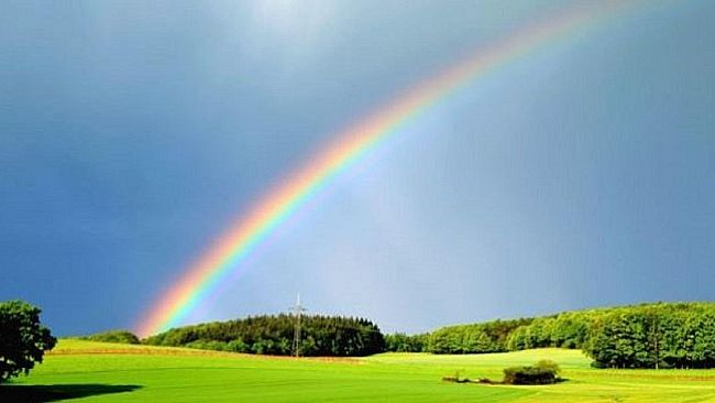 I colori della vita