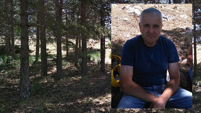 Antonio David: “Gli incendi non aspettano i Forestali, la natura fa il suo corso”