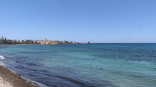 Trapani, segnalata alla Guardia Costiera una mucca spiaggiata. Ricerche senza esito