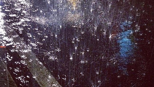 Allerta meteo: da rossa ad Arancione. Intanto sulla Ss113 fra Napola e Fulgatore accade questo…