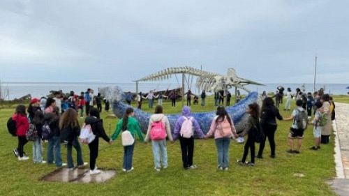 Campobello. Biodiversità e Scienza: un anno ricco di iniziative per l'IC 