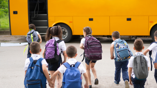 enza-viola-interroga-sul-mancato-avvio-del-trasporto-scolastico-per-gli-studenti-delle-borgate