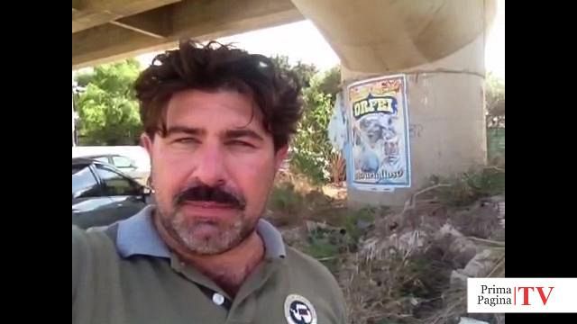 video-una-grande-e-lunga-discarica-sotto-la-sopraelevata