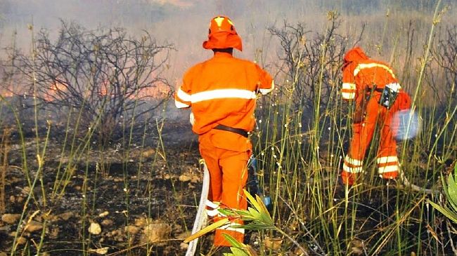 Antonio David: “La morte del collega Forestale alimenta  più rabbia. Diamo risposte  al settore”