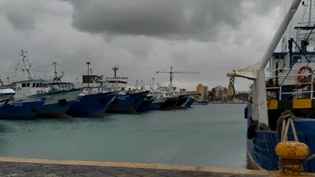 Pesca, appello unitario alla Regione: 