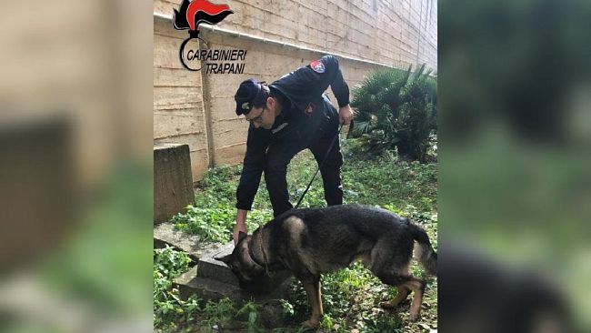 Trapani. Controlli del territorio: arrestato un 35enne per spaccio