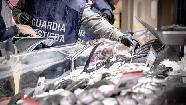 FISH NET, la vasta e complessa operazione ha interessato anche Marsala
