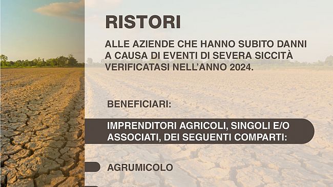Ristori da 35 mln di euro per aiutare le aziende agricole che hanno subito danni a causa della siccità nel 2024