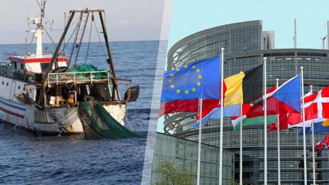 Pesca, Feamp, nuovo accordo a Bruxelles: 6,1 miliardi di euro per i prossimi 7 anni