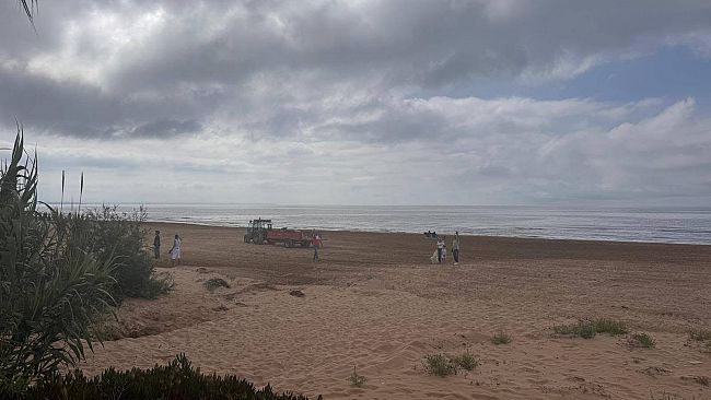 Domani nuova giornata di pulizia della spiaggia di Tre Fontane
