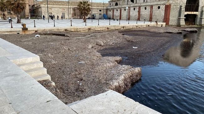 Favignana, sollecito per la rimozione dell’insabbiamento e accumulo di posidonia