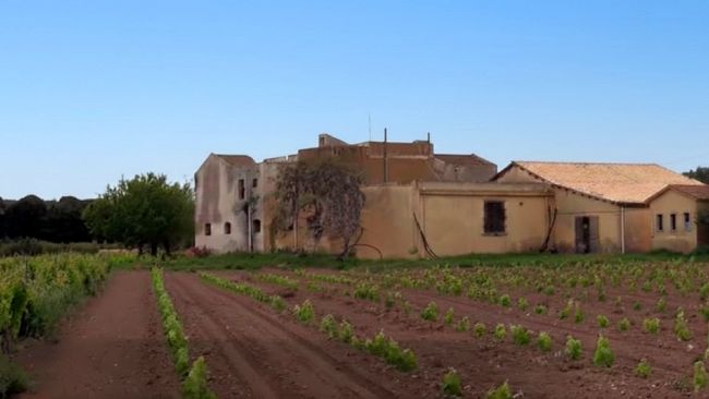 Podere Badia e Funtanazza, il Libero Consorzio ci ripensa: cancellata la vendita dopo le proteste