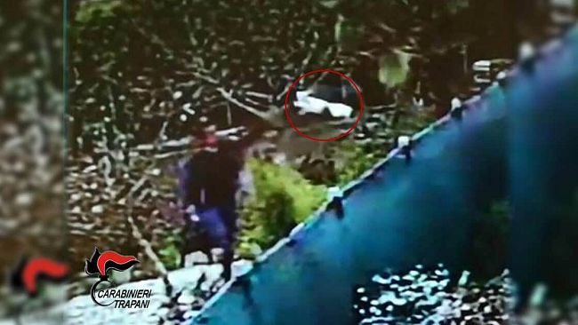 Santa Ninfa, minacce con coniglio morto davanti la porta di casa