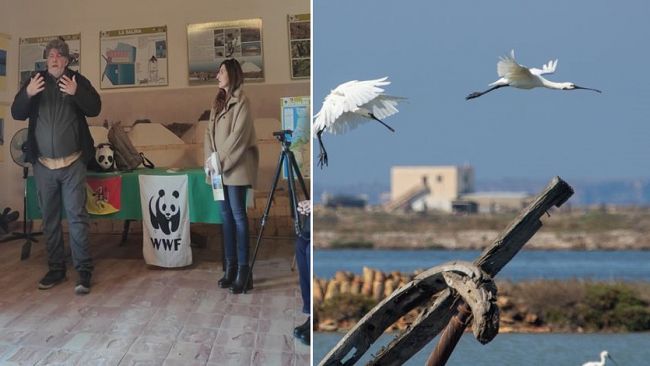 Saline di Trapani, natura e riscatto: il progetto Itinerari di Comunità 
