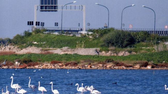 La “Colmata B” diviene ufficialmente l’Area Naturale Protetta “Fatamorgana”. Firmato il decreto.