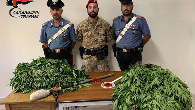 Alcamo, Carabinieri scoprono piantagione indoor. Arrestato un alcamese
