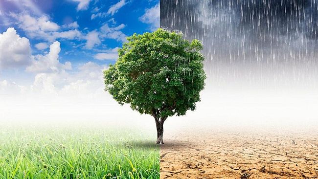 Fridays For Future torna in piazza a Trapani per il clima e la pace