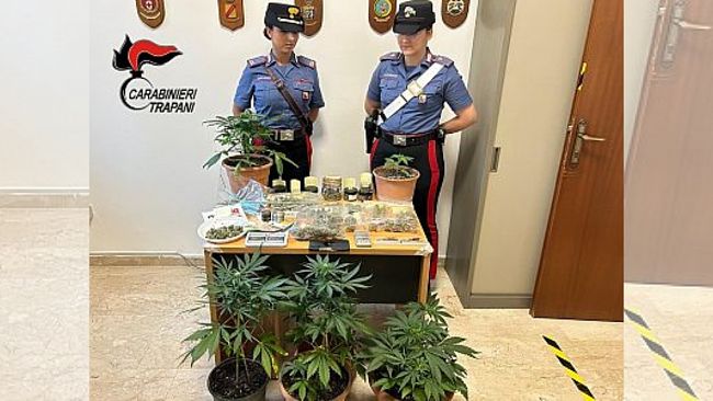 Accoltella un uomo per un parcheggio, i Carabinieri lo arrestano e trovano una produzione di Marijuana