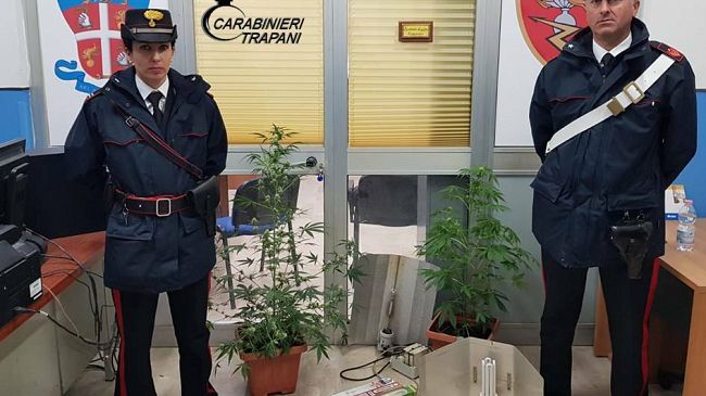 Erice, coltivazione e spaccio di droga. Arrestato un trapanese