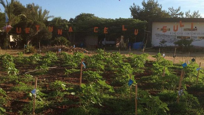 Venerdì a Marinella di Selinunte la semina di 100 girasoli per abbellire la borgata