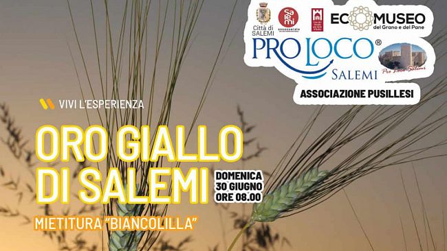 Oro Giallo di Salemi: il 30 Giugno si potrà rivivere l’antica tradizione della mietitura