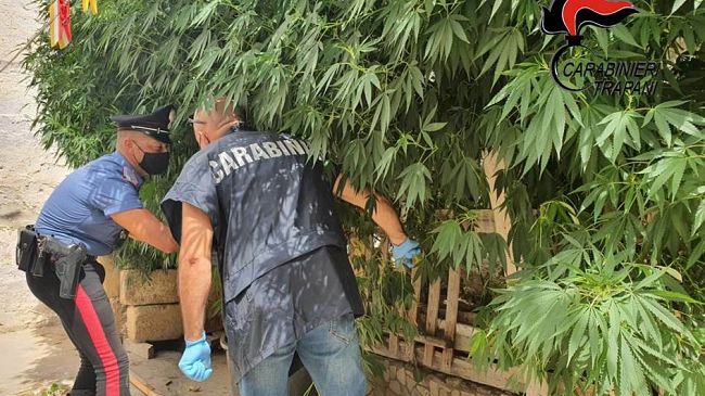  Marsala, 