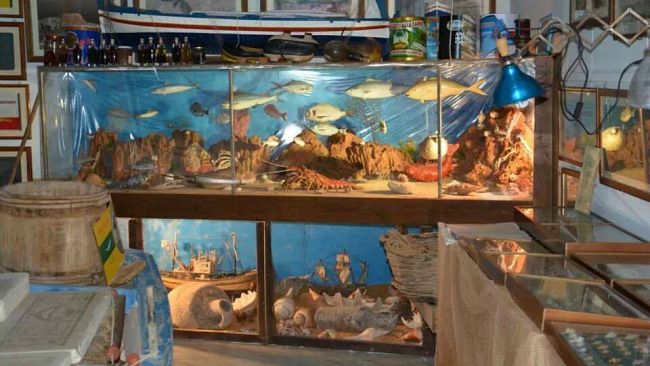 “Cambio di rotta” il nuovo progetto regionale per far conoscere il panorama ittico siciliano