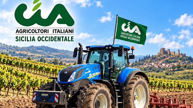 viticoltura-la-cia-sicilia-occidentale-chiama-a-raccolta-ad-alcamo-i-produttori-assemblea-pubblica-sui-ristori