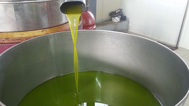 castelvetrano/la-siccita-porta-il-costo-dellolio-alle-stelle-qualita-alta-ma-cala-la-produzione