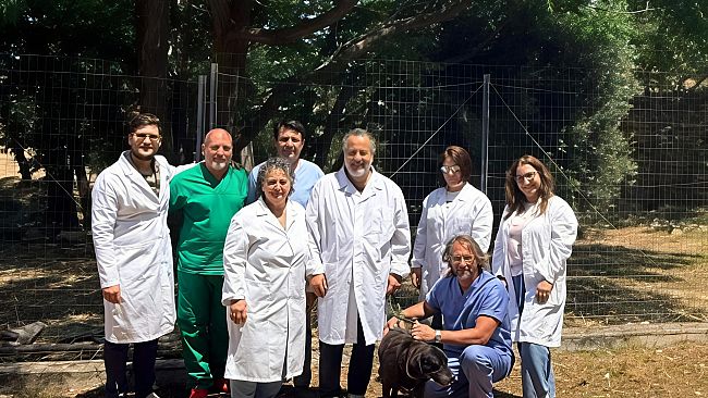 L’ Asp Trapani in campo contro l'abbandono degli animali
