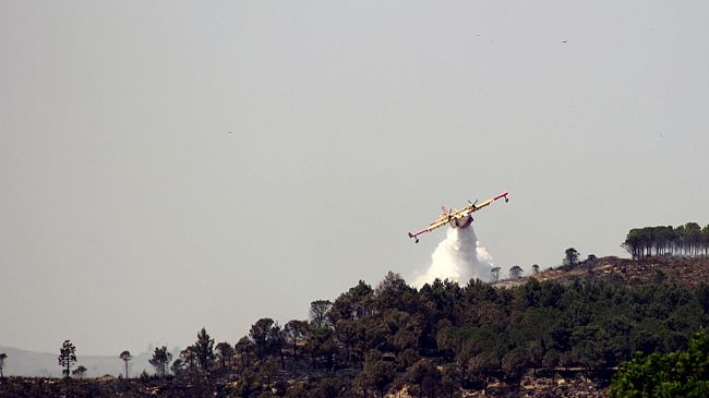 Triscina, vasto incendio  sulla circonvallazione 