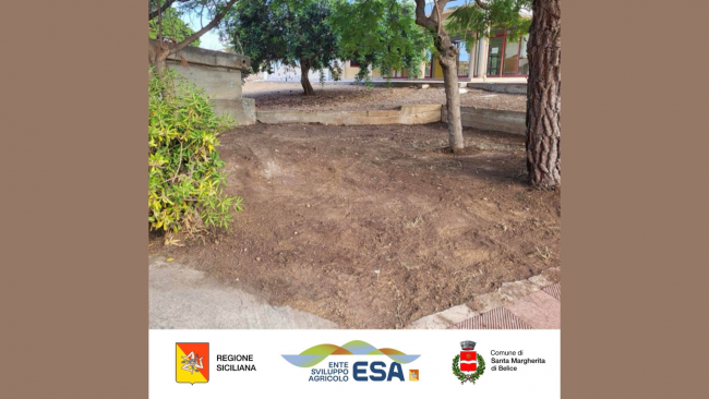 Santa Margherita, nuove risorse per la cura del verde urbano 