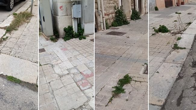 ​Trapani. In Via Passaneto si cammina tra erbacce e degrado