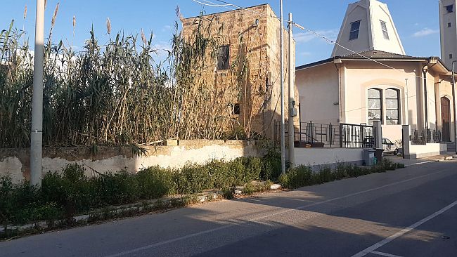 Mazara, erbacce e vegetazione in Via Santa Gemma: cittadini chiedono intervento urgente 
