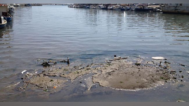 22cristaldi-qualcosa-comincia-a-muoversi-per-la-pulizia-del-fiume-mazaro