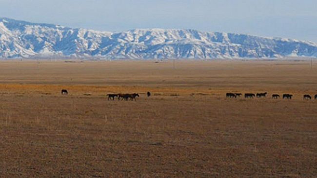 Agricoltura e non solo: e il formaggio italiano si produce in Kazakistan