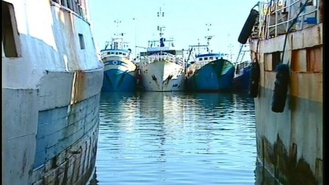 Progetto Porto Marsala, molti dubbi dai pescatori della Coop. Lilybeo