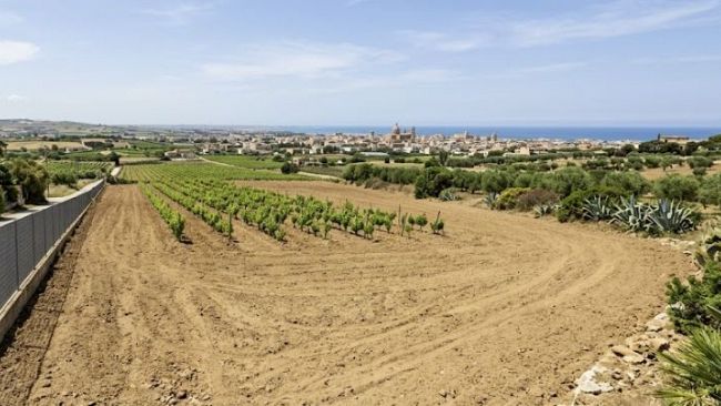 Marsala, prevenzione incendi 2026: obbligo di pulizia dei terreni dal 15 maggio prossimo