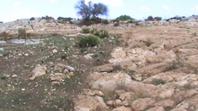 Residenti di Borgata Costiera contro la “fattoria eolica” nei pressi del sito archeologico di Roccazzo. Dove sono i politici e gli ambientalisti?