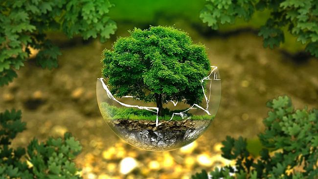 Compostaggio domestico a Erice: riduzione del 30% sulla Tari per i cittadini