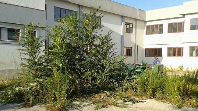 Mazara, lavori di discerbatura previsti in tutto il territorio comunale