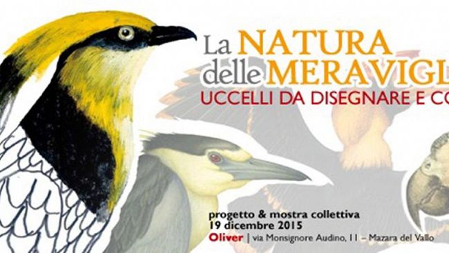 Oliver lancia La NATURA delle MERAVIGLIE / Uccelli da disegnare e colorare