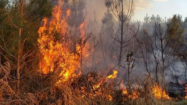 Prevenzione incendi – Ordinanza del Sindaco