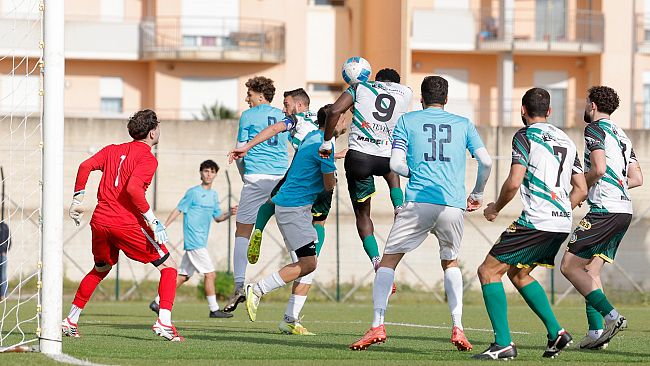 Accademia Trapani, missione salvezza: due settimane di lavoro intenso prima del rush finale
