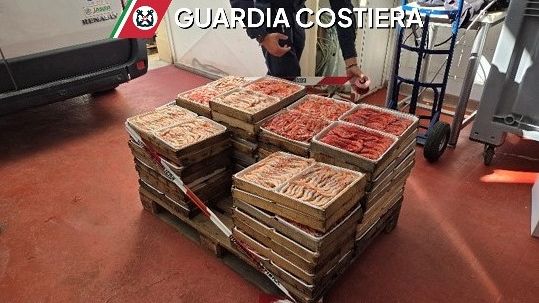 Mazara, oltre 2 tonnellate di gambero rosso e viola pescato in zona vietata. Multata azienda ittica    