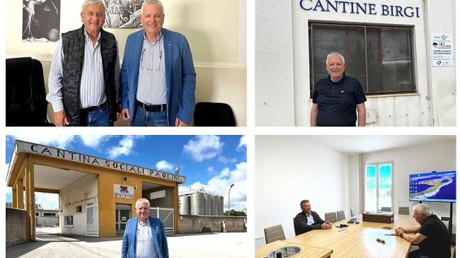 Marsala 2026: Mario Ragusa propone un piano green per il rilancio del settore vitivinicolo