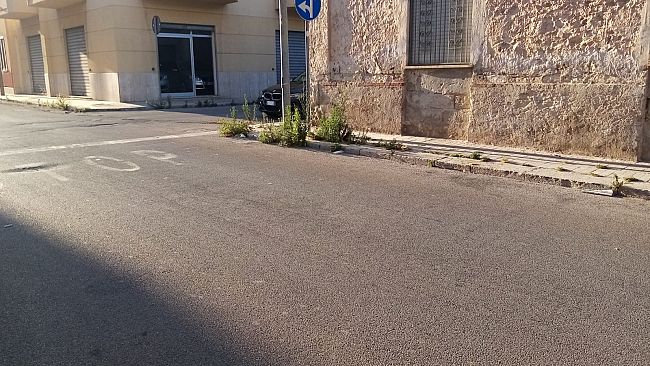 ​Trapani. Cresce il degrado in via dell’Arancio